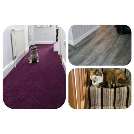 Floorcoverings Essex Ltd